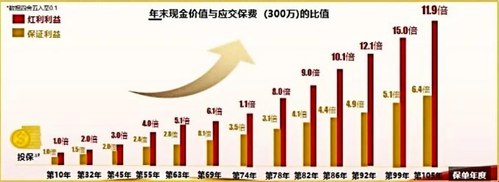 2025险企开门红：分红险产品领航，全力奋战新纪元