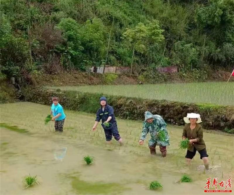 招聘主播最新招聘，探索人才新领域，共筑直播新未来