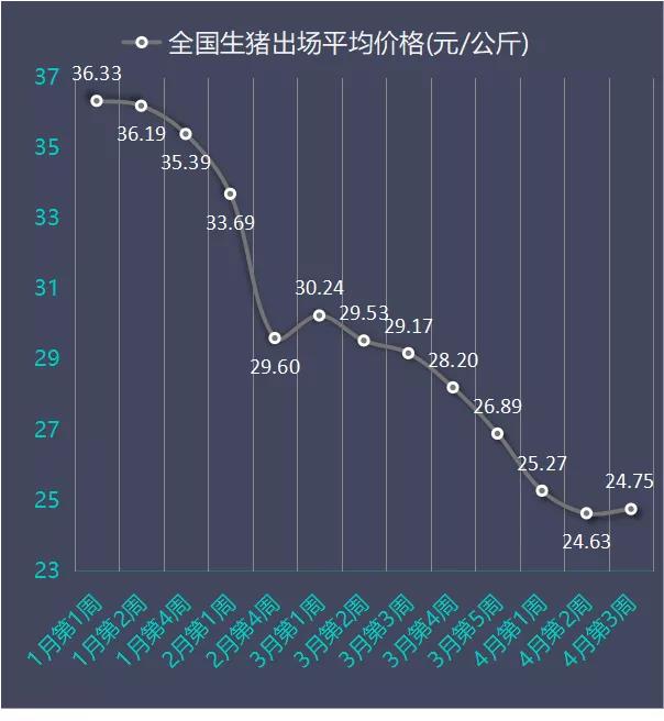 明天猪价行情最新预测