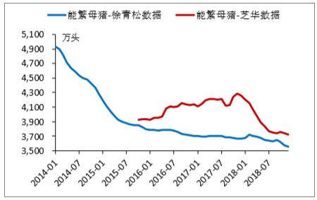 广西今日猪价最新价，市场走势与影响因素分析