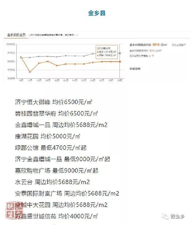 金乡最新开盘房价走势及市场洞察