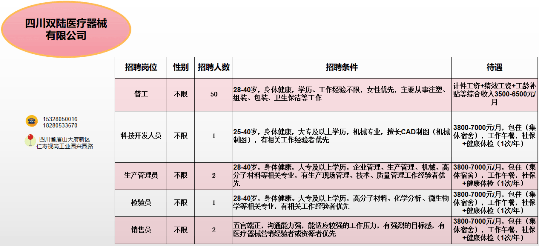 今天仁寿最新招聘信息概览