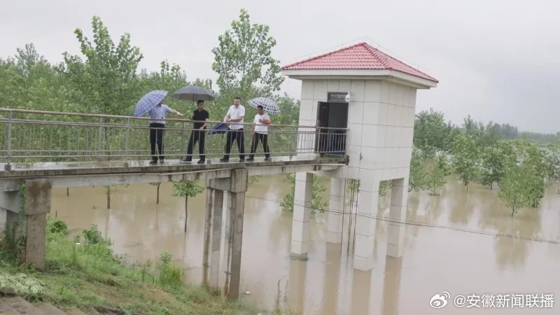 淮河洪水最新消息，全面应对，守护家园